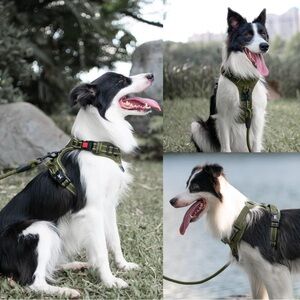 Military Green No Pull Dog Harness (Large)